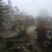 Saint-Aubin-Château-Neuf 27/12/2016