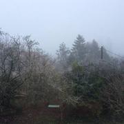 Saint-Aubin-Château-Neuf 28/12/2016