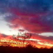 La Regrippière 28/12/2016