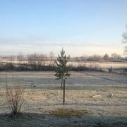 Nègrepelisse 29/12/2016