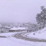 Aïn Draham 30/12/2016