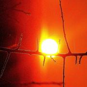 Plounéour-Ménez 30/12/2016