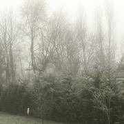Châtenay-sur-Seine 30/12/2016