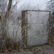 Lichères-près-Aigremont 30/12/2016