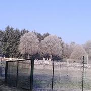 Harréville-les-Chanteurs 30/12/2016