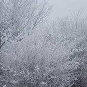 Estrées-Deniécourt 30/12/2016