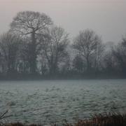 Bricquebec 30/12/2016