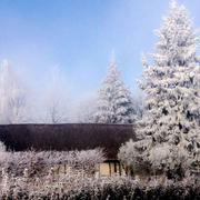 Bosc-Roger-sur-Buchy 30/12/2016