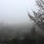 Saint-Senoux 31/12/2016