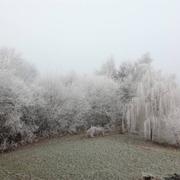 Saint-Pierre-la-Cour 31/12/2016