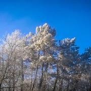 Les Farges 31/12/2016