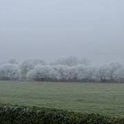 Saint-Amand-sur-Sèvre 31/12/2016