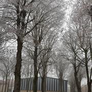 Bourgogne 31/12/2016