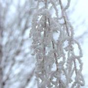 Argent-sur-Sauldre 31/12/2016