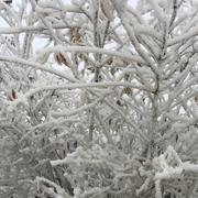 Blainville-Crevon 31/12/2016