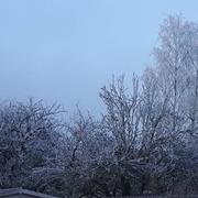 Belleville-sur-Meuse 31/12/2016
