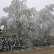 Godenvillers 31/12/2016