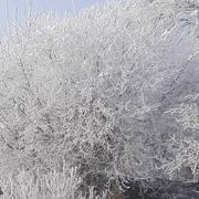 Lindebeuf 31/12/2016