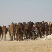 Tataouine 31/12/2016