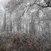 Leigné-les-Bois 31/12/2016