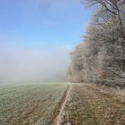 Villeneuve-l'Archevêque 01/01/2017