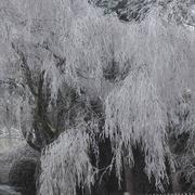 Prunay-en-Yvelines 01/01/2017