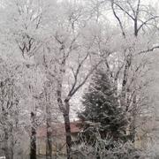 Colombey-les-Belles 01/01/2017