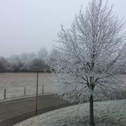 Beauchêne 01/01/2017