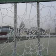 Locqueltas 01/01/2017