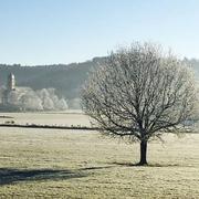 Monnet-la-Ville 01/01/2017