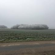 Saint-Firmin-des-Bois 01/01/2017