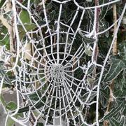 Thaumiers 01/01/2017