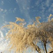 Altviller 02/01/2017