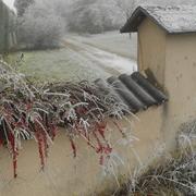 Altviller 02/01/2017