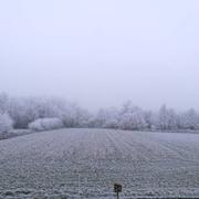 Saint-Gondran 02/01/2017