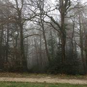 Bout-du-Pont-de-l'Arn 02/01/2017