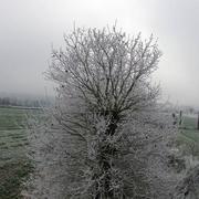 Tinténiac 03/01/2017