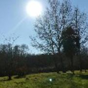 Ménesplet 03/01/2017