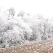 Boissy-la-Rivière 03/01/2017