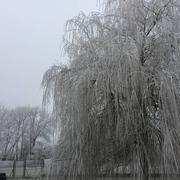 Courgivaux 04/01/2017