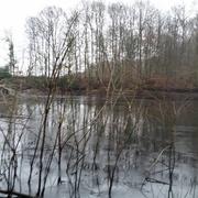 Autainville 04/01/2017