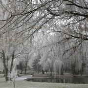 Marigny-le-Châtel 04/01/2017