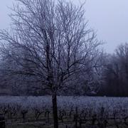 La Brède 04/01/2017