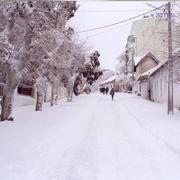 Aïn Draham 06/01/2017