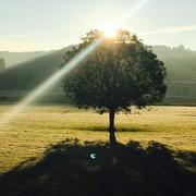 Monnet-la-Ville 06/01/2017