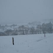 Cléguérec 10/01/2010