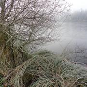 Locqueltas 06/01/2017