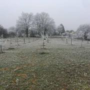 Bonnétable 07/01/2017