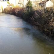 Perrecy-les-Forges 07/01/2017