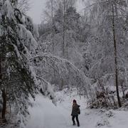 Jeanménil 10/01/2017